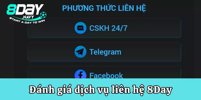 Đánh giá dịch vụ liên hệ 8Day