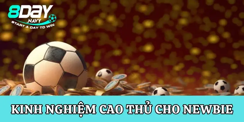 Kinh nghiệm từ cao thủ dành cho newbie chơi cá độ thể thao