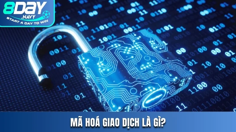 Mã hoá giao dịch là gì?
