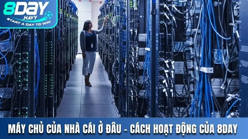 Máy chủ của nhà cái 8DAY ở đâu