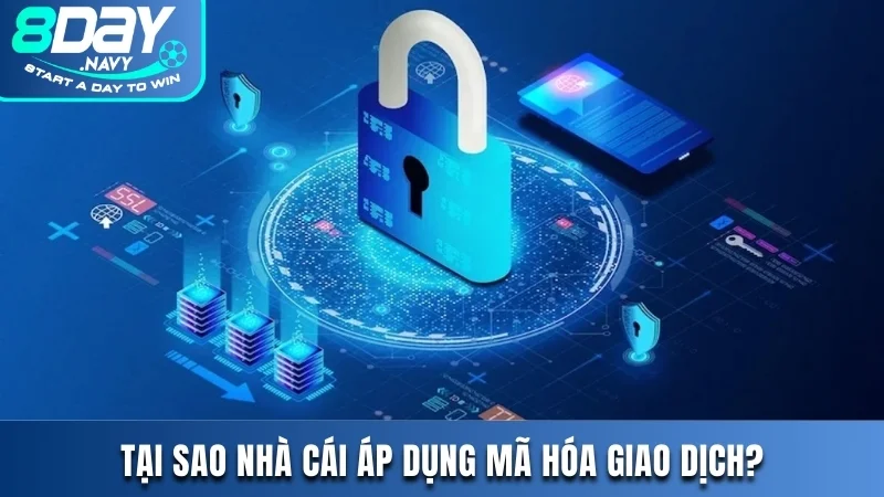 Nhà cái 8DAY có áp dụng mã hóa giao dịch không và tại sao