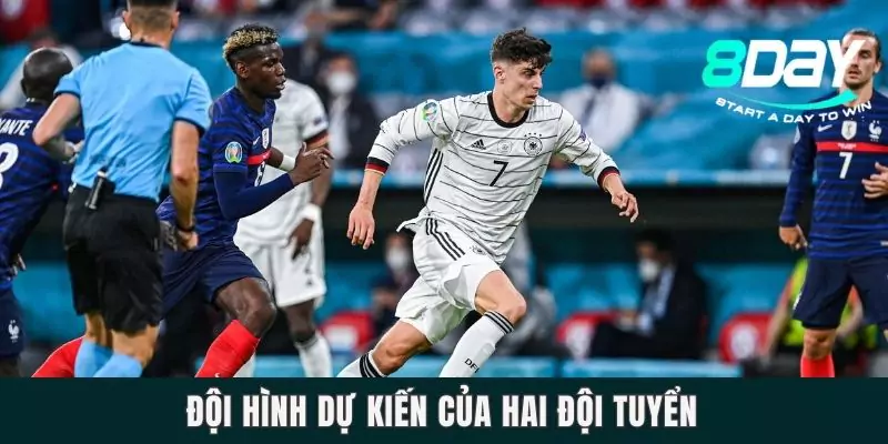 Đội hình dự kiến của hai đội tuyển